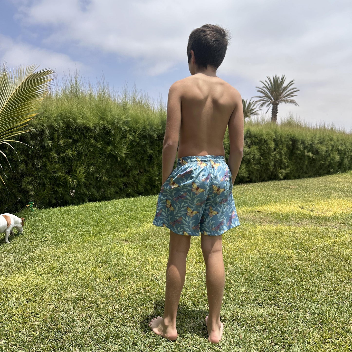 SHORT BAHIA LIBÉLULAS